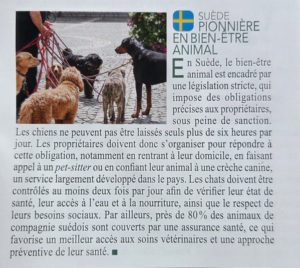 Le bien être animal à l’étranger