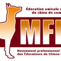 Mfec Mfec